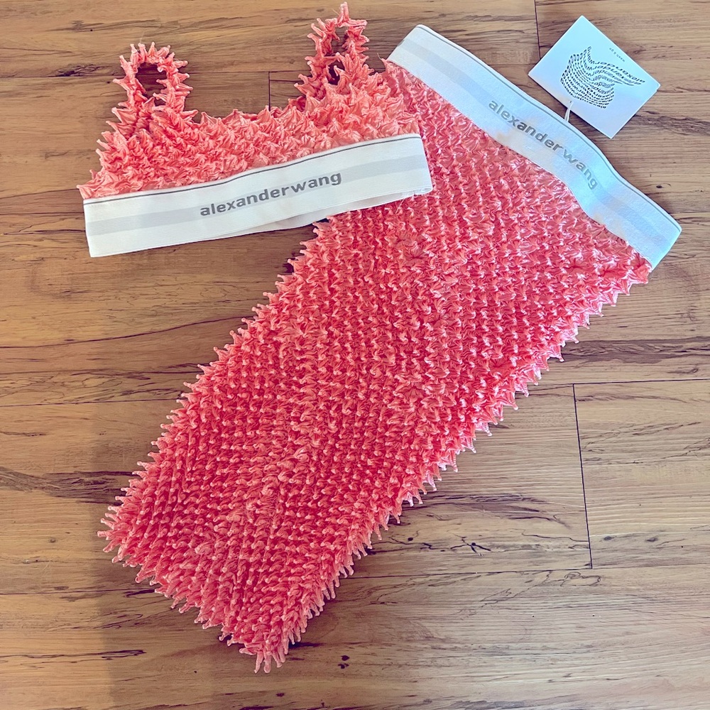 ALEXANDER WANG 2 piece Set skirt and top NWT